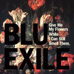 Give Me My Flowers While I Can Still Smell Them - Blu & Exile
