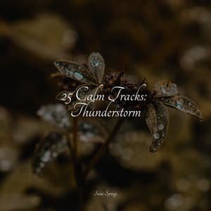 25 Calm Tracks: Thunderstorm - Deep Focus