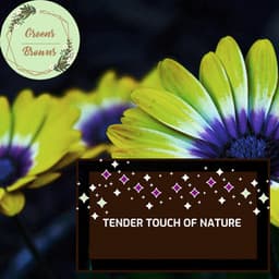 Tender Touch of Nature - Calm Music