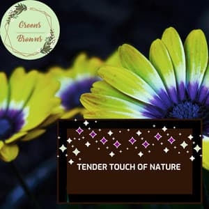 Tender Touch of Nature - Calm Music