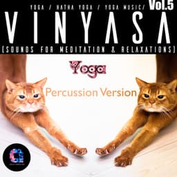 Vinyasa, Vol.5 - Hatha Yoga