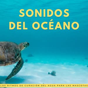 Sonidos Del Océano: Los Ritmos De Curación Del Agua Para Las Mascotas - Terapia Oceánica