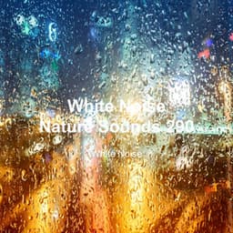 White Noise 290 - White Noise