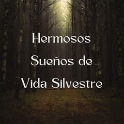 Hermosos Sueños De Vida Silvestre - Grabaciones de sonido de vida silvestre