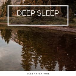 1 Deep Sleep - NatuREM