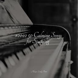 Calm Music for Complete Stress Relief - Relaxed Minds