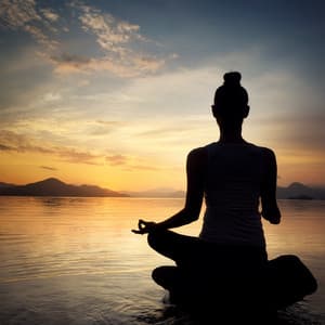 Orquesta De Meditación Serena: Movimientos Musicales Equilibrados - Valborg Shamsuddin