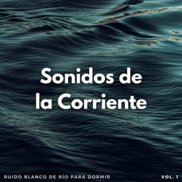 Sonidos De La Corriente: Ruido Blanco De Río Para Dormir Vol. 1 - Sonido del Agua Ruido Blanco Natural