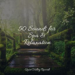 50 Sounds for Spa & Relaxation - Rainfall