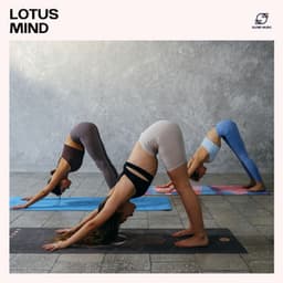Lotus Mind - Pilates Workout