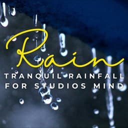 Rain's Academic Serenade: Tranquil Rainfall for Studious Minds - Rain Meditations