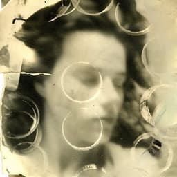 The Roles We Play To Disappear - Paula Rae Gibson