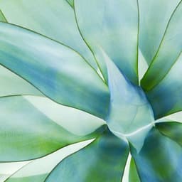 Bgm for Sweet Selects - Vintage Cafe Background Music