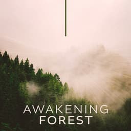 Awakening Forest: Morning Yoga for Abundance, Floating Energy Meditation, Nature Sounds - Nature Zone