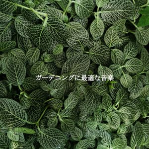 ガーデニングに最適な音楽 - Trabajar desde Casa Latidos