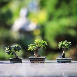 Total Peacefulness - Transformation Power of Concentration - Deep Sleep