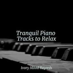 Tranquil Piano Tracks to Relax - Piano para Relaxar