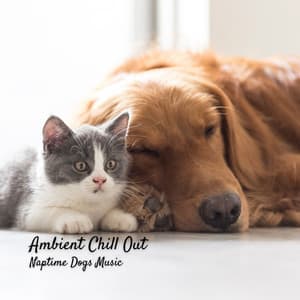 Ambient Chill Out: Naptime Dogs Music - Dogs Music Therapy