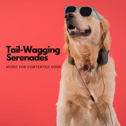 Tail-Wagging Serenades: Music For Contented Dogs - Tranquility and Relaxation for Dogs