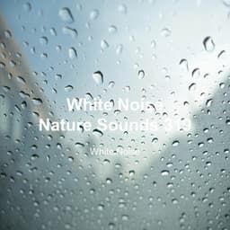 White Noise 319 - White Noise