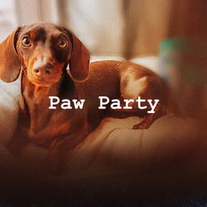 Paw Party - Dog’s Music