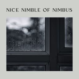 Nice Nimble of Nimbus - The Rain Factory
