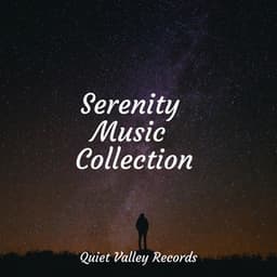 Serenity Music Collection - Relaxation Sleep Meditation