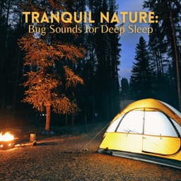 Tranquil Nature: Bug Sounds for Deep Sleep - Night Crickets