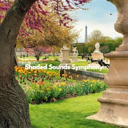 Shaded Sounds Symphony - Lettura di Musica