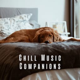 Chill Music Companions: Serene Melodies for Dogs - Doggy Music Radio