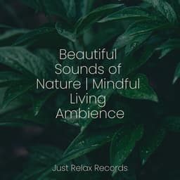 Beautiful Sounds of Nature | Mindful Living Ambience - Chillout Lounge
