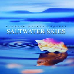 Saltwater Skies - Calming Waters Consort
