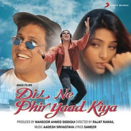 Dil Ne Phir Yaad Kiya - Aadesh Shrivastava
