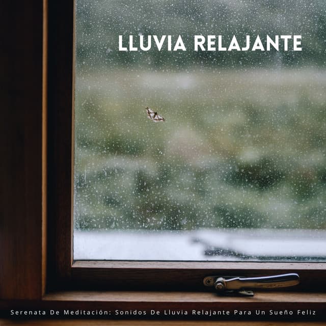 Serenata De Meditación: Sonidos De Lluvia Relajante Para Un Sueño Feliz - Relajación Lluvia Meditación