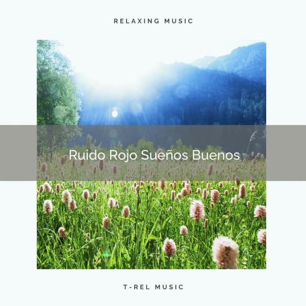 Ruido Rojo Sueños Buenos - Sonidos De Ruído Blanco