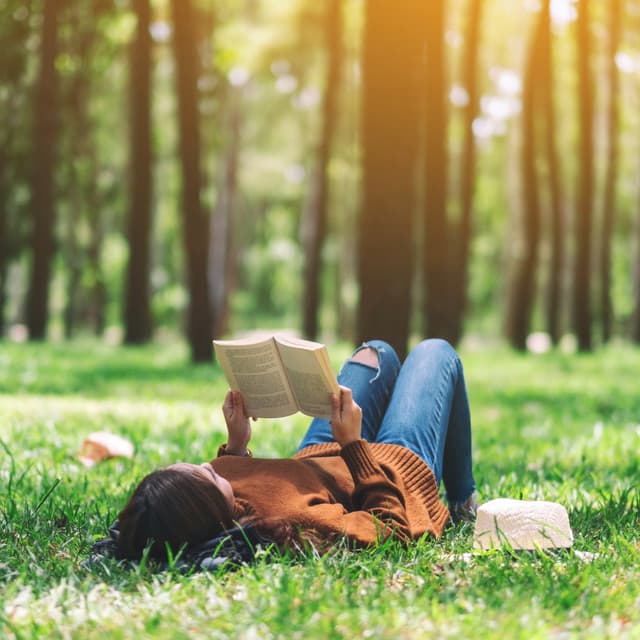 Serenity Music for Peaceful Relaxation - Reiki Healing Academy