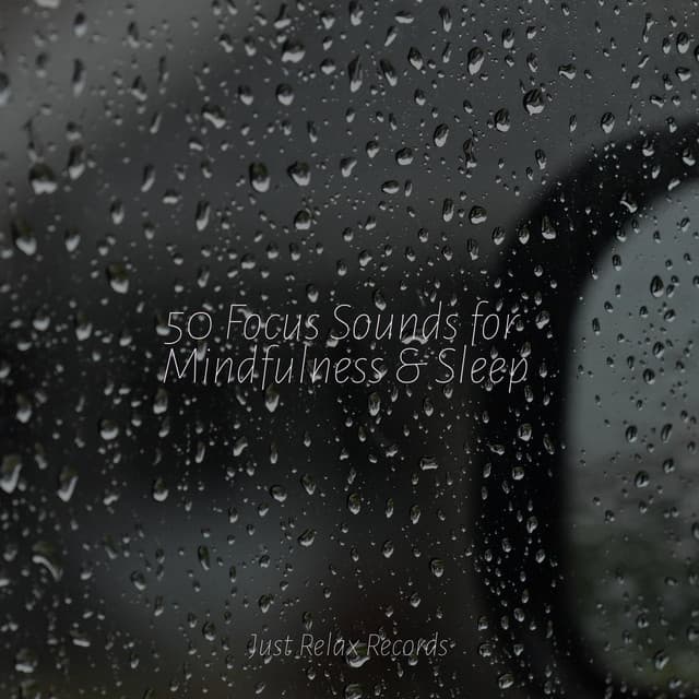 50 Focus Sounds for Mindfulness & Sleep - Mantra para Meditar
