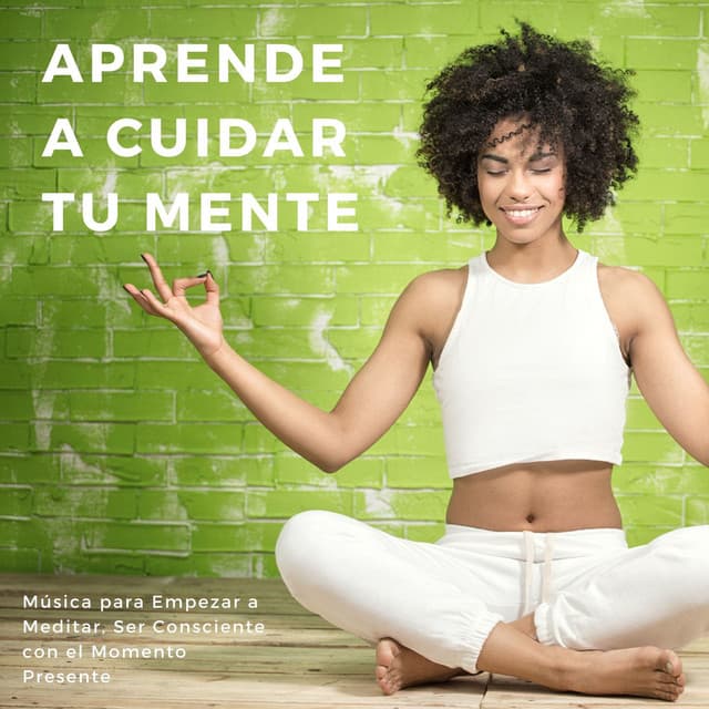 Aprende a Cuidar tu Mente: Música para Empezar a Meditar, Ser Consciente con el Momento Presente - Habitos Saludables