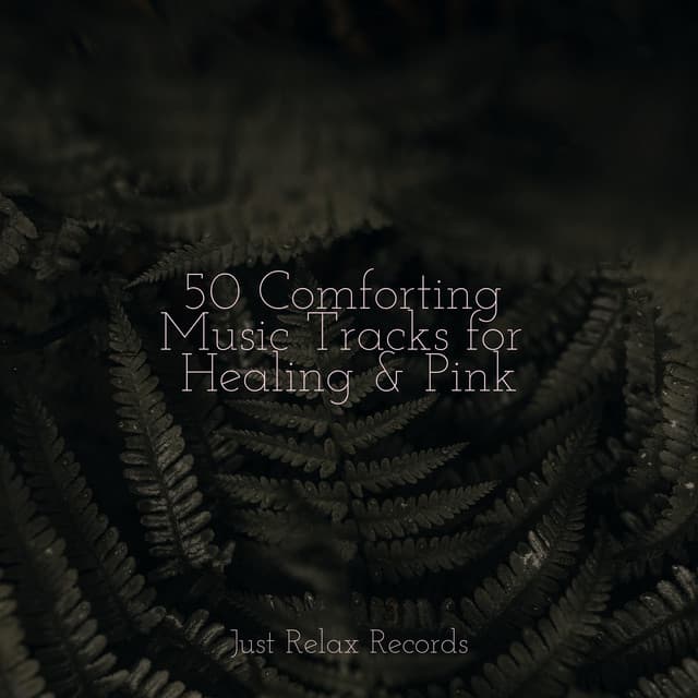 50 Comforting Music Tracks for Healing & Pink - Dog Music