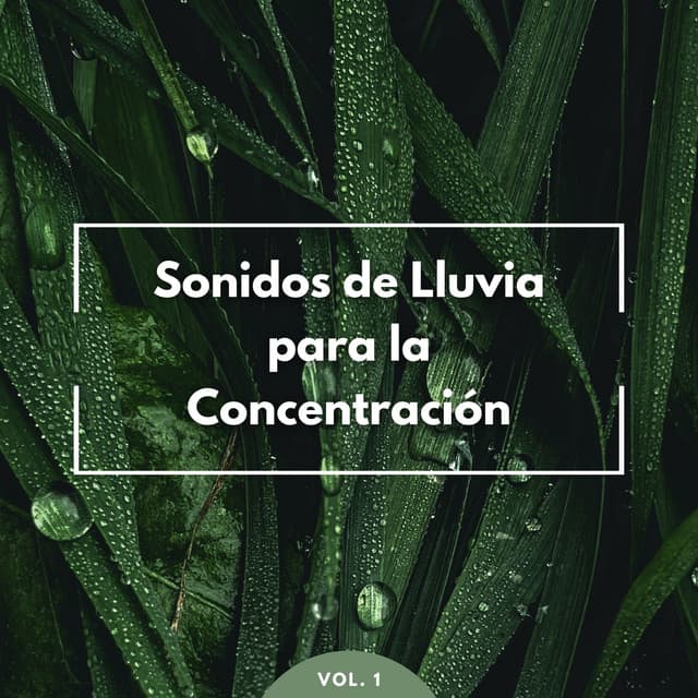 Sonidos De Lluvia Para La Concentración Vol. 1 - Ricky sonido de lluvia