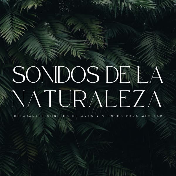 Sonidos De La Naturaleza: Relajantes Sonidos De Aves y Vientos Para Meditar - Mantra para Meditar