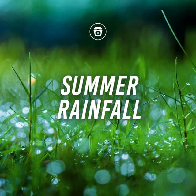 Summer Rainfall - ASMR Rain Sounds