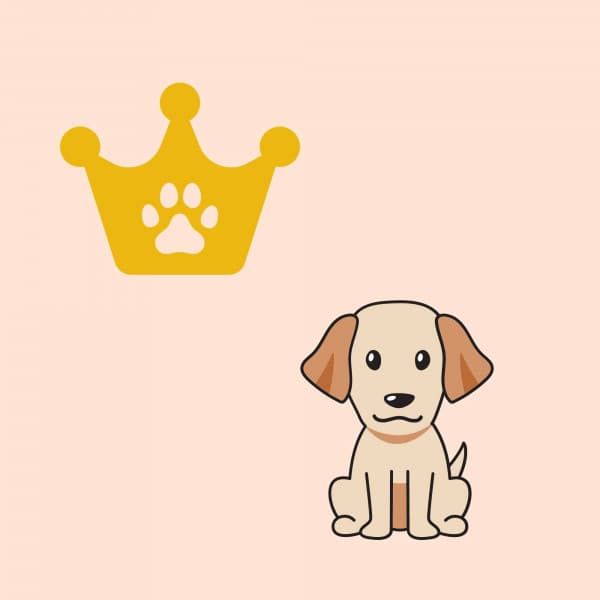 Music for The Sleepy Hounds - Relaxing Dogs