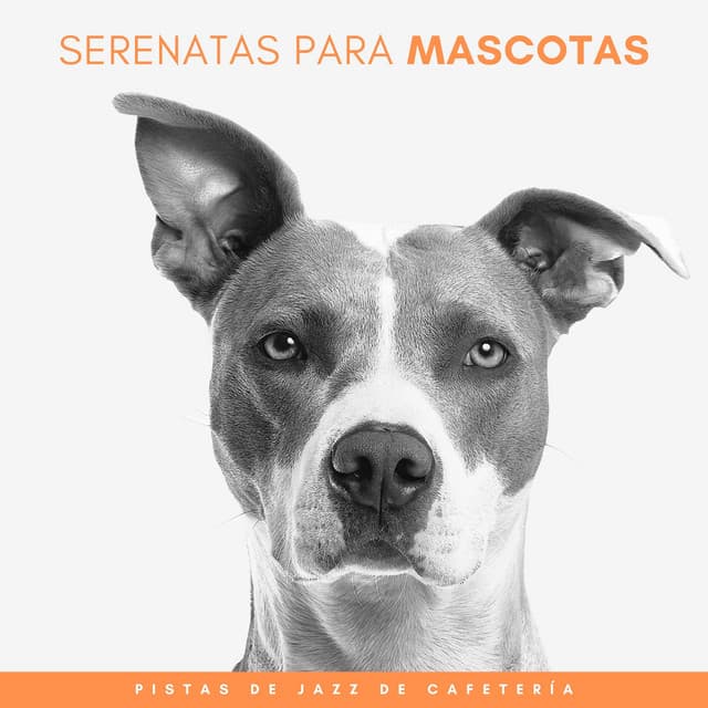 Serenatas Para Mascotas: Pistas De Jazz De Cafetería - Colectivo Smooth Jazz Nueva York