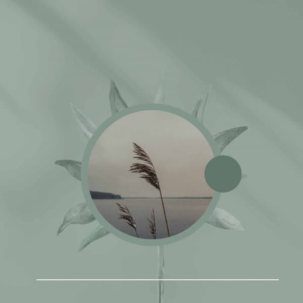 Calming Moments - Dream Like - Holiday Jazz Ensemble