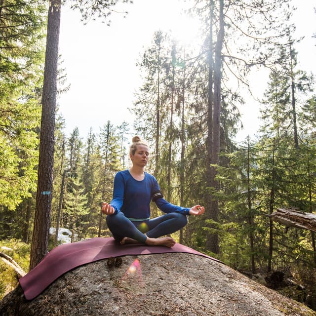 Nature Meditation Melodies: Cricket Serenade with the Wind's Peace - Nature Sounds XLE Library