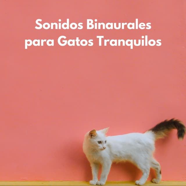 Sonidos Binaurales Para Gatos Tranquilos - Binaural Beats sueño profundo