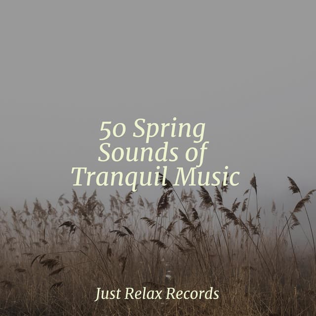 50 Spring Sounds of Tranquil Music - Relaxamento