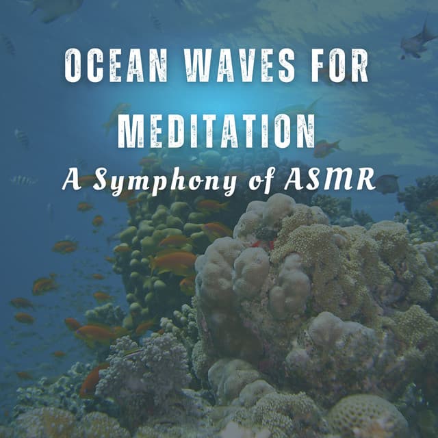 Ocean Waves for Meditation: A Symphony of ASMR - Ocean Waves Sleep