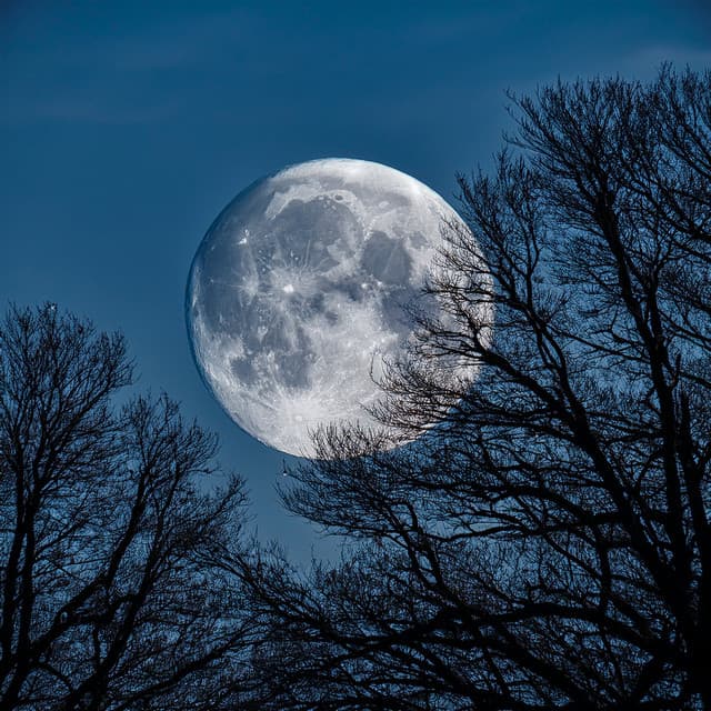 Music For Deep Rest And Untroubled Sleep - Sleep Music Legends